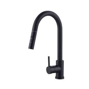 Kitchen Sink Faucets Pull Down 2 Mode Sprayer
