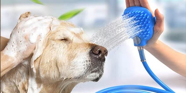 pet dog shower head sparyer