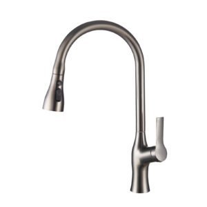 Kitchen Mixer Tap with 3 Function P-8063-T