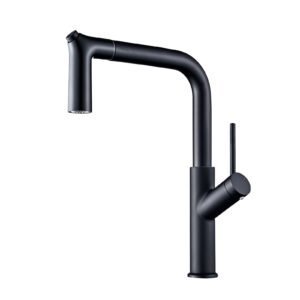 Modern Black Kitchen Faucet with Pull-Out Sprayer FaucetU P-8074-B