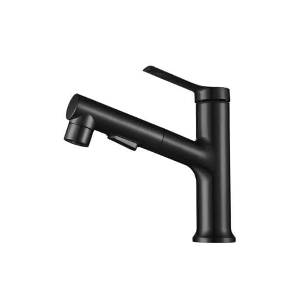 Pull Out Basin Faucet Bathroom Mixer Tap Hot Cold Water L-22012-B