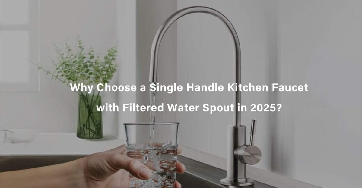 Why Choose a Single Handle Kitchen Faucet with Filtered Water Spout in 2025