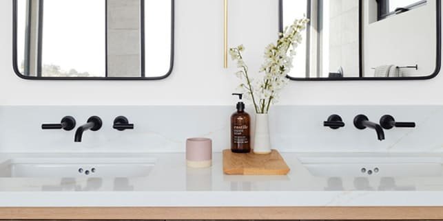 back plate and wall sets dual basin faucet
